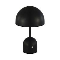 Настольная лампа Evoluce SLE1806-404-01