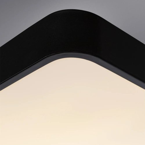 Потолочный светильник Arte Lamp SCENA A2663PL-1BK фото 4