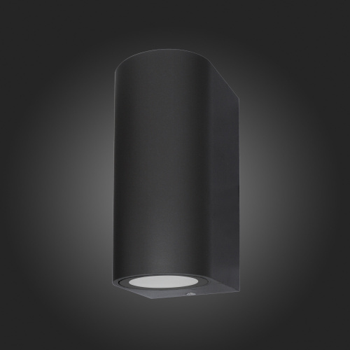 SL9001.401.02 Светильник уличный настенный ST-Luce Черный/ GU10 2*35W BORGO фото 4