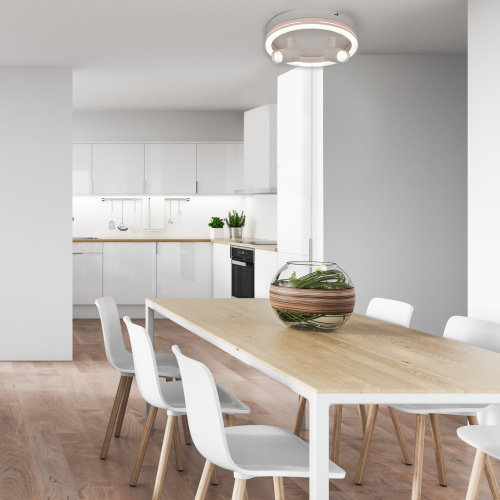 Настенно-потолочный свет Escada 20044SMA/03 LED 43W 4000K белый фото 4