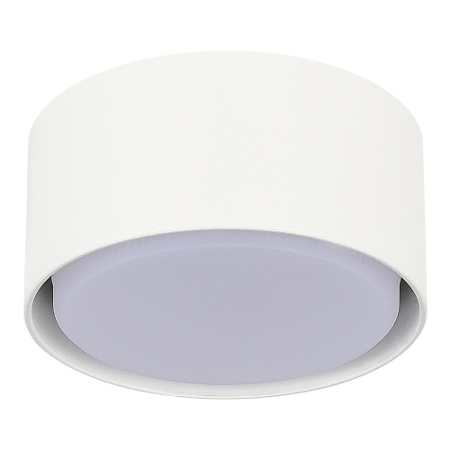 ST164.502.01 Светильник потолочный Белый GX53 1*50W IP20 D85xH40 220V Без ламп Накладные светильники фото 2