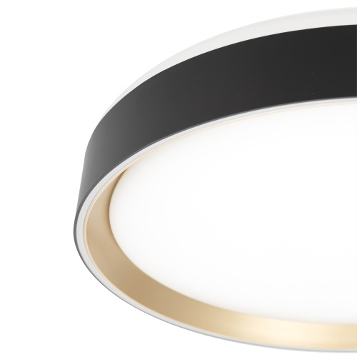 Citilux BOSS CL751351G LED RGB Светильник с пультом Чёрный с Золотом фото 12 Citilux BOSS CL751351G LED RGB Светильник с пультом Чёрный с Золотом фото 12