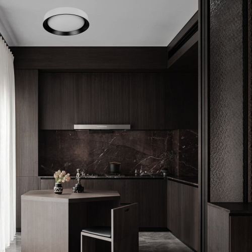 10202 WB  Потолочный светильник  LOFT IT Coin фото 5