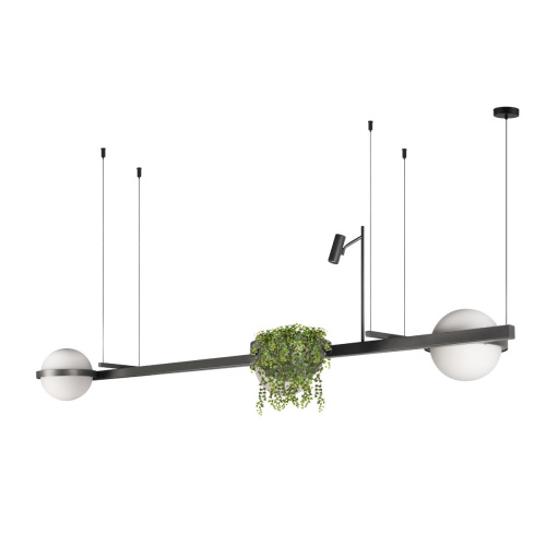 10121/C Dark grey Подвесной светильник LOFT IT Jardin фото 2 10121/C Dark grey Подвесной светильник LOFT IT Jardin фото 2