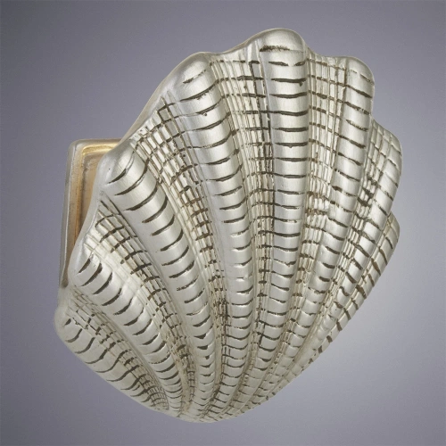 Настенный светильник Arte Lamp SHELL A1412AP-1SA фото 2 Настенный светильник Arte Lamp SHELL A1412AP-1SA фото 2