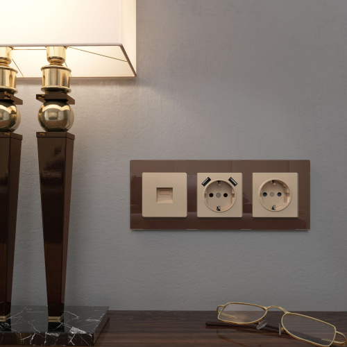 Накладка для телефонной розетки RJ-11 (шампань) W1192011 фото 2 Накладка для телефонной розетки RJ-11 (шампань) W1192011 фото 2