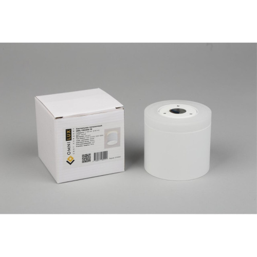 Светильник встраиваемый-накладной OML-102309-16 фото 8 Светильник встраиваемый-накладной OML-102309-16 фото 8