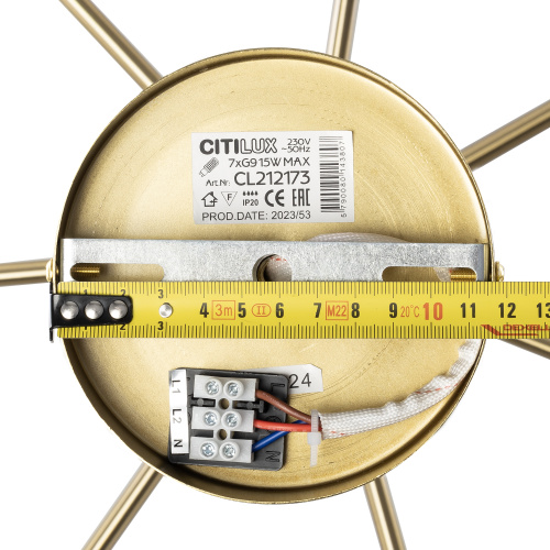Citilux TONGA CL212173 Люстра на штанге Бронза фото 10 Citilux TONGA CL212173 Люстра на штанге Бронза фото 10