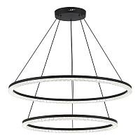 SL1018.403.02 Светильник подвесной ST-Luce черный/прозрачный LED 1*96W 4000K EUCLIDICS