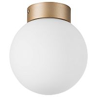 812013 Люстра GLOBO 1х40W E14 ШАМПАНЬ/БЕЛЫЙ