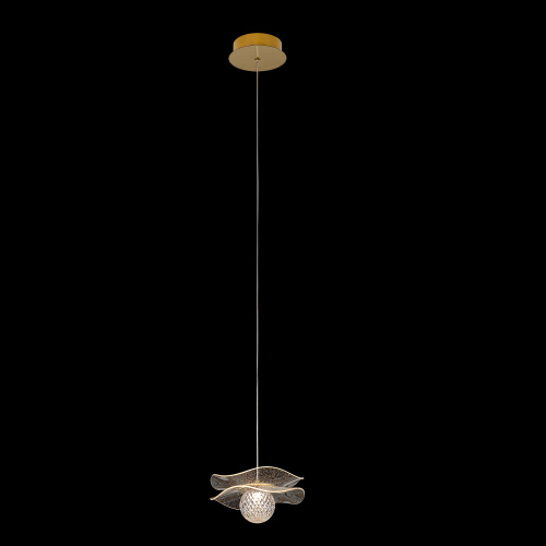 Citilux SIGNATURE CL247051 Подвесной светодиодный светильник фото 2 Citilux SIGNATURE CL247051 Подвесной светодиодный светильник фото 2