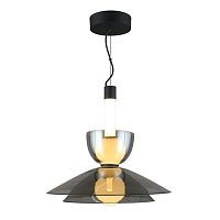 Светильник подвесной APL.772.16.12