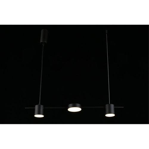 Люстра подвесная APL.017.03.18 фото 13