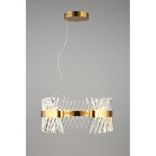 Люстра подвесная OML-99903-62 фото 4 Люстра подвесная OML-99903-62 фото 4