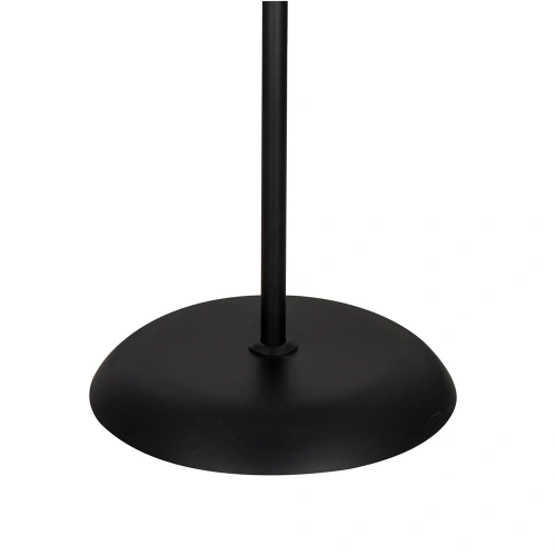 Торшер Arte Lamp DUETTO A9569PN-2BK фото 4 Торшер Arte Lamp DUETTO A9569PN-2BK фото 4