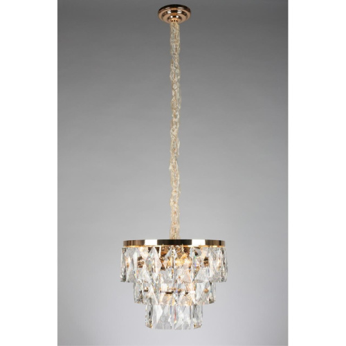 Люстра подвесная OML-72903-09 фото 2