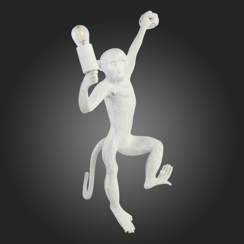 SLE115111-01 Светильник настенный Белый E27 1*60W TENATO фото 6