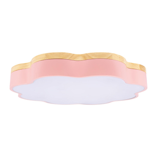 10225/36 Pink Потолочный светильник LOFT IT Axel фото 3