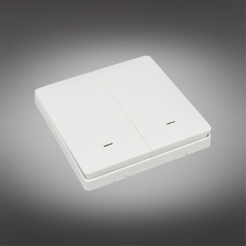 Трековое управление APL.0190.00.02 фото 3 Трековое управление APL.0190.00.02 фото 3