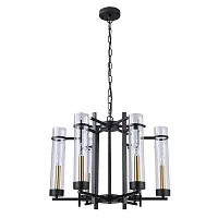 Подвесная люстра Arte Lamp HUGO A1688LM-6BK