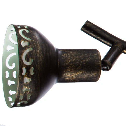 Спот Arte Lamp FOCUS A5219PL-4BR фото 3