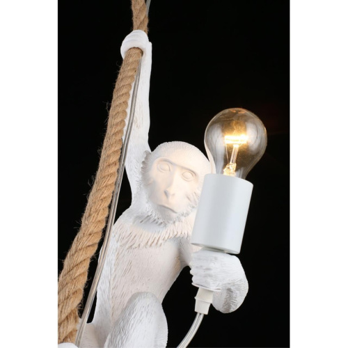 Светильник подвесной APL.309.06.01 фото 4 Светильник подвесной APL.309.06.01 фото 4