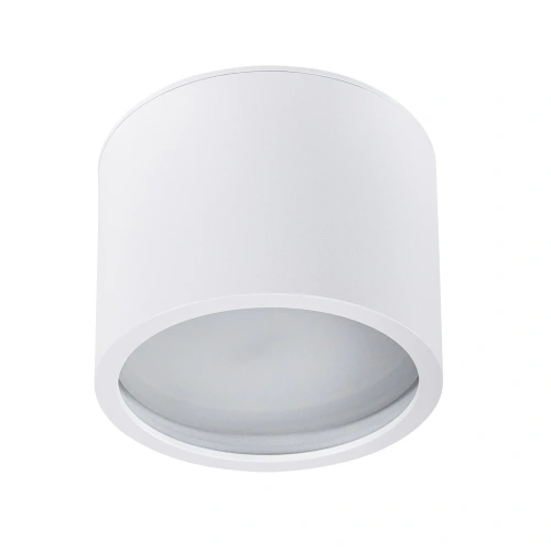 Точечный накладной светильник Arte Lamp INTERCRUS A5543PL-1WH Точечный накладной светильник Arte Lamp INTERCRUS A5543PL-1WH