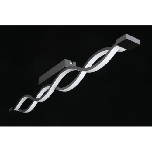 Светильник настенно-потолочный APL.002.12.36 фото 9