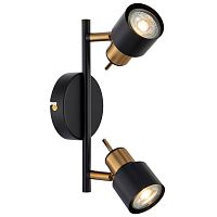 Спот Arte Lamp ALMACH A1906PL-2BK