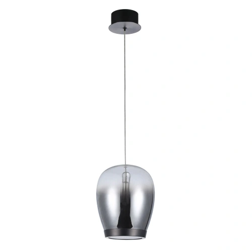 Подвесной светильник Divinare CAMPO 5875/51 SP-15 Подвесной светильник Divinare CAMPO 5875/51 SP-15