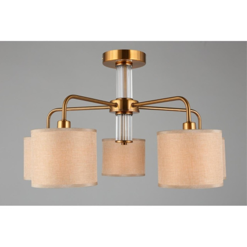 Люстра потолочная OML-56907-05 фото 4 Люстра потолочная OML-56907-05 фото 4