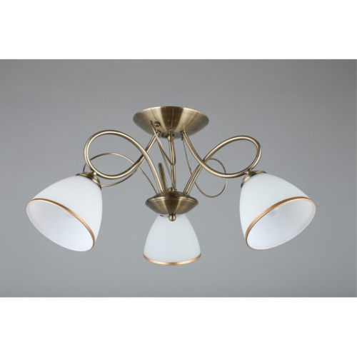 Люстра потолочная OML-25307-03 фото 5 Люстра потолочная OML-25307-03 фото 5