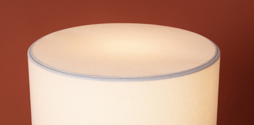 Настольный светильник Freya FR2054TL-01BS3 фото 17 Настольный светильник Freya FR2054TL-01BS3 фото 17