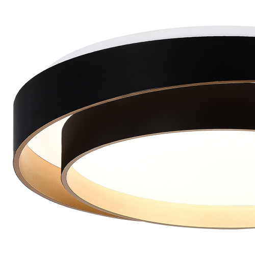 SLE6009-402-01 Светильник потолочный Черный/Белый LED 1*50W 3000K/4000K/6000K CROSBY фото 3