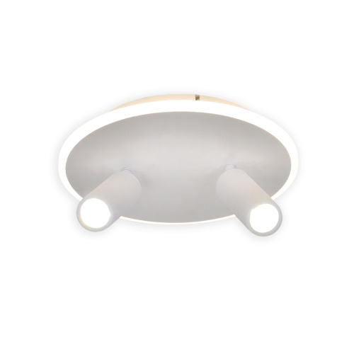 Настенно-потолочный свет Escada 20046SMA/02 LED 28W 4000K белый Настенно-потолочный свет Escada 20046SMA/02 LED 28W 4000K белый