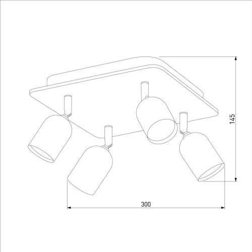 Спот TK Lighting 4418 Top фото 2
