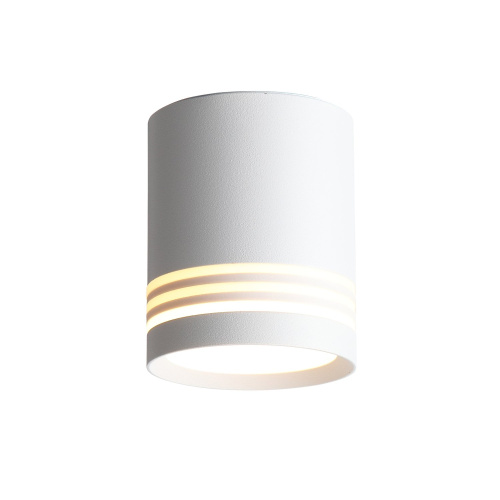 ST101.542.05 Светильник потолочный Белый LED 1*5W 4000K 390Lm Ra>80 120° IP20 D68xH80 170-240V Накладные светильники фото 5