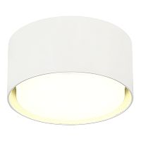 ST164.502.01 Светильник потолочный Белый GX53 1*50W IP20 D85xH40 220V Без ламп Накладные светильники