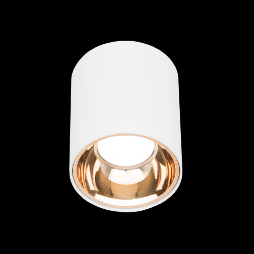 Citilux Старк CL7440103 LED Светильник накладной Белый Медь фото 2 Citilux Старк CL7440103 LED Светильник накладной Белый Медь фото 2