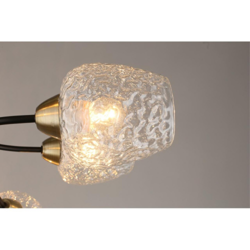 Люстра потолочная OML-67807-08 фото 7