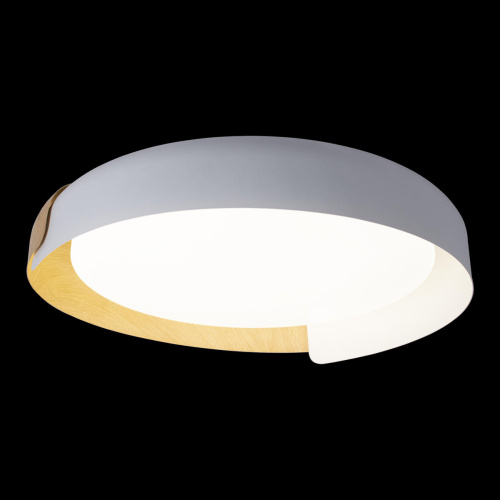 10198 White Потолочный светильник LOFT IT Coin фото 4