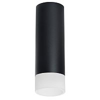 R48731 Светильник RULLO HP16 (214487+202431)