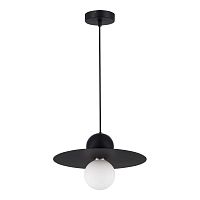 Подвесной светильник Evoluce SLE1257-443-01