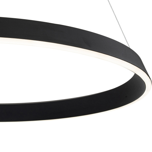 Подвесной светильник 14019/1P Black фото 4