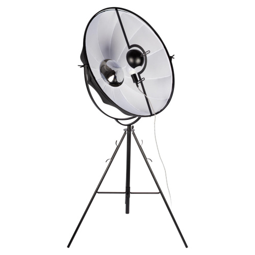 10301/L Торшер LOFT IT Studio 10301/L Торшер LOFT IT Studio