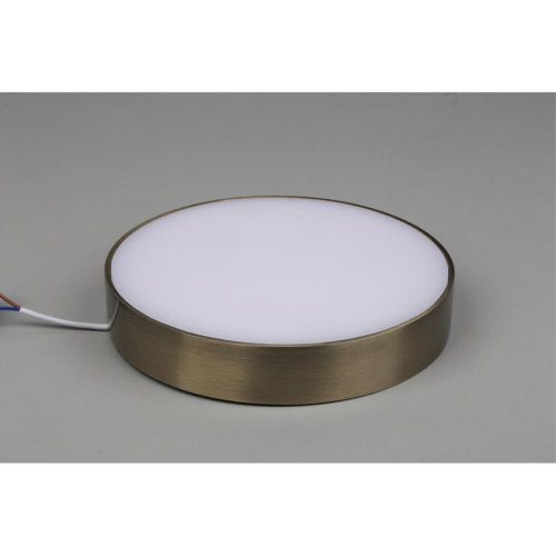 Светильник настенно-потолочный APL.0114.29.24 фото 6