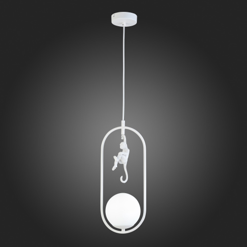 SLE115123-01 Подвес Белый/Белый E27 1*60W TENATO фото 10 SLE115123-01 Подвес Белый/Белый E27 1*60W TENATO фото 10