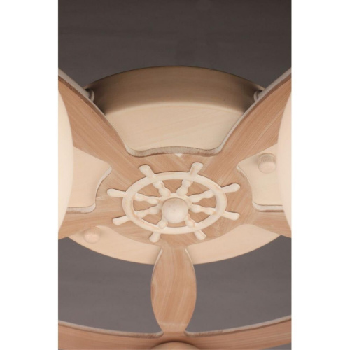 Люстра потолочная OML-50517-05 фото 2 Люстра потолочная OML-50517-05 фото 2