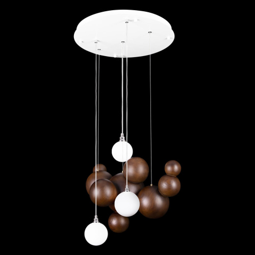 10161 Dark wood Подвесной светильник LOFT IT Ginger фото 3