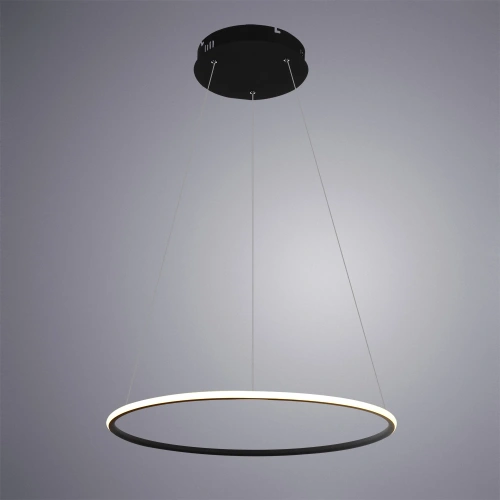 Подвесная люстра Arte Lamp RAPID A2500SP-1BK фото 2 Подвесная люстра Arte Lamp RAPID A2500SP-1BK фото 2